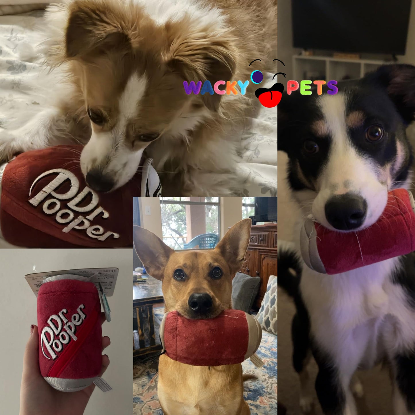 Dog Can Soda Plush Toy "Dr.Pooper"
