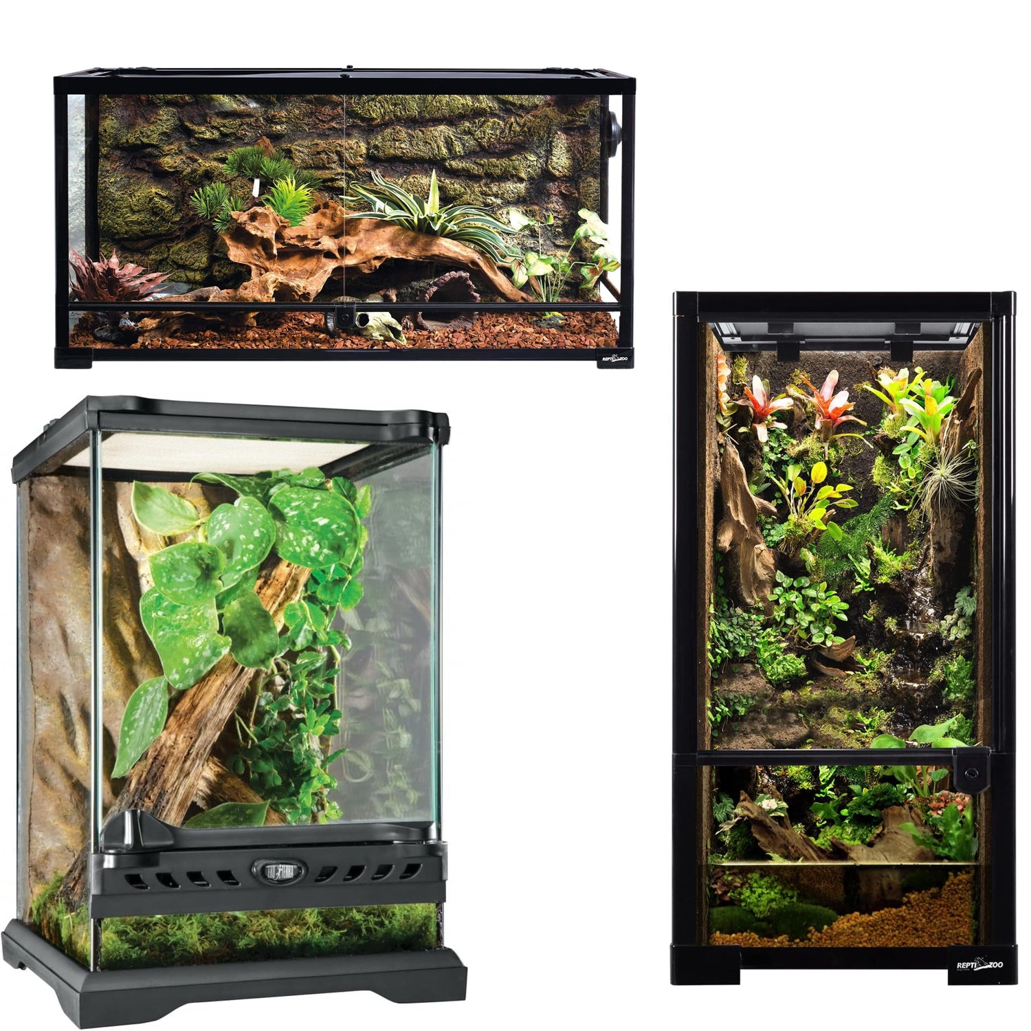 Tanks & Terrariums