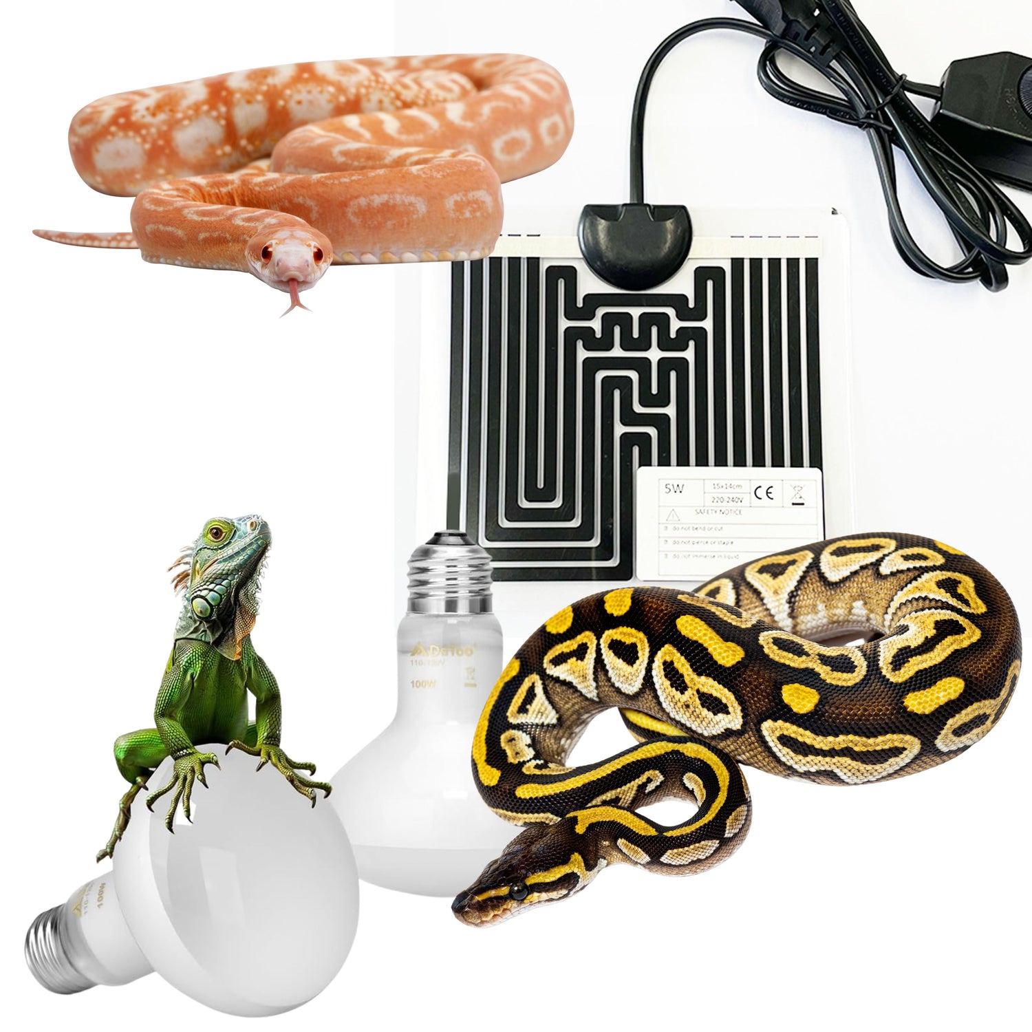 Heating & Lighting