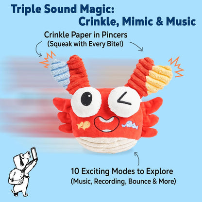 Bouncing Music Crab Dogs Interactive Toy