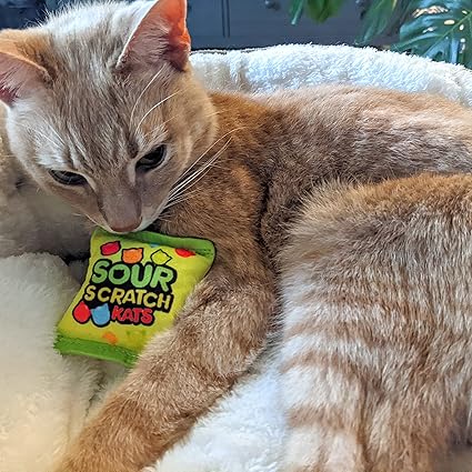 Cats Sour Scratch Kats Catnip Toy