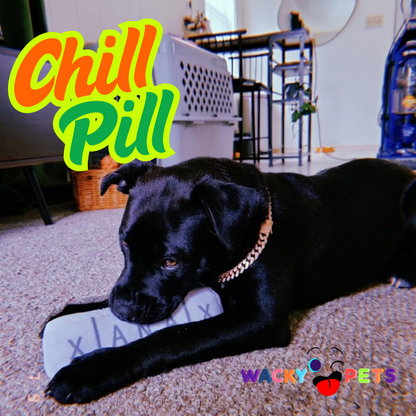 Dog Xanax Squeaky Plush Toy "Chill Pill"